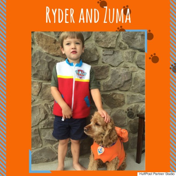 ryder zuma paw patrol