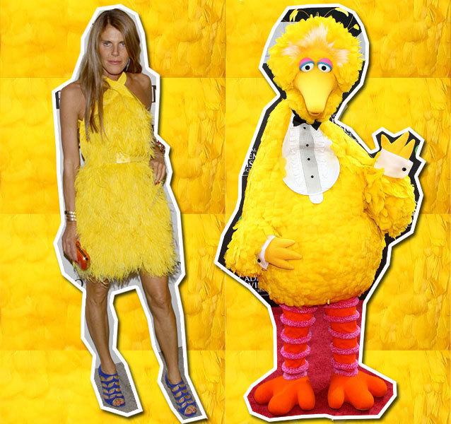 Anna Dello Russo vs. Big Bird Seeing Double HuffPost Life