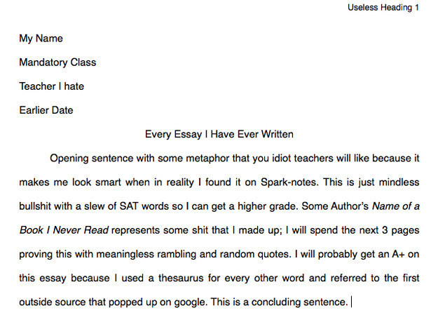 Write my Essay for me Service!