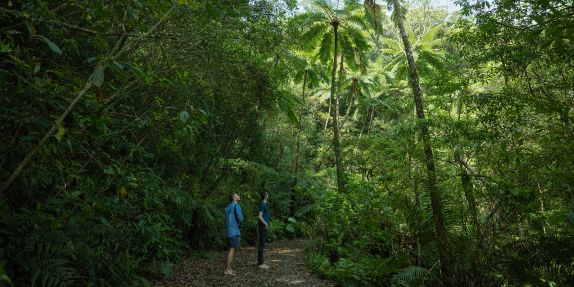 In the Cambodian Jungle | HuffPost