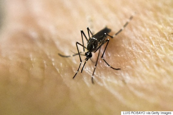 zika