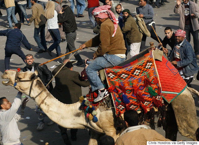 camel tahrir
