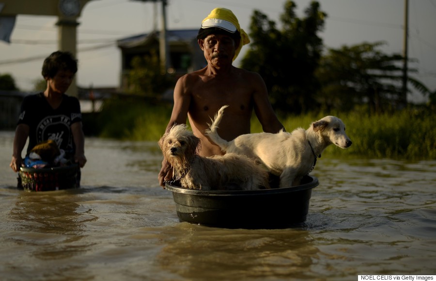 typhoon philippines