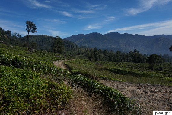 Grown-Up Backpacking In Breathtaking Sri Lanka Will Cure Your Adult ...