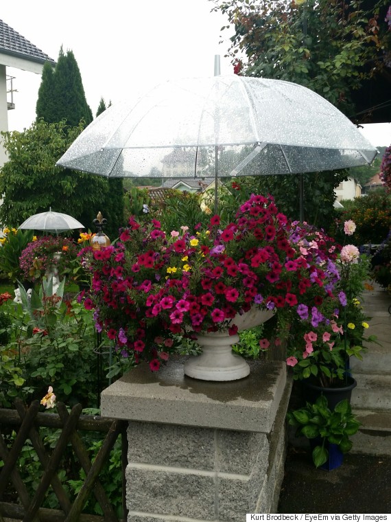 umbrella planter