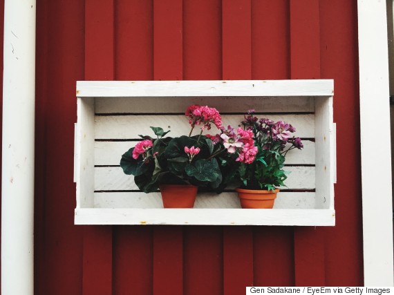 wall mounted planter