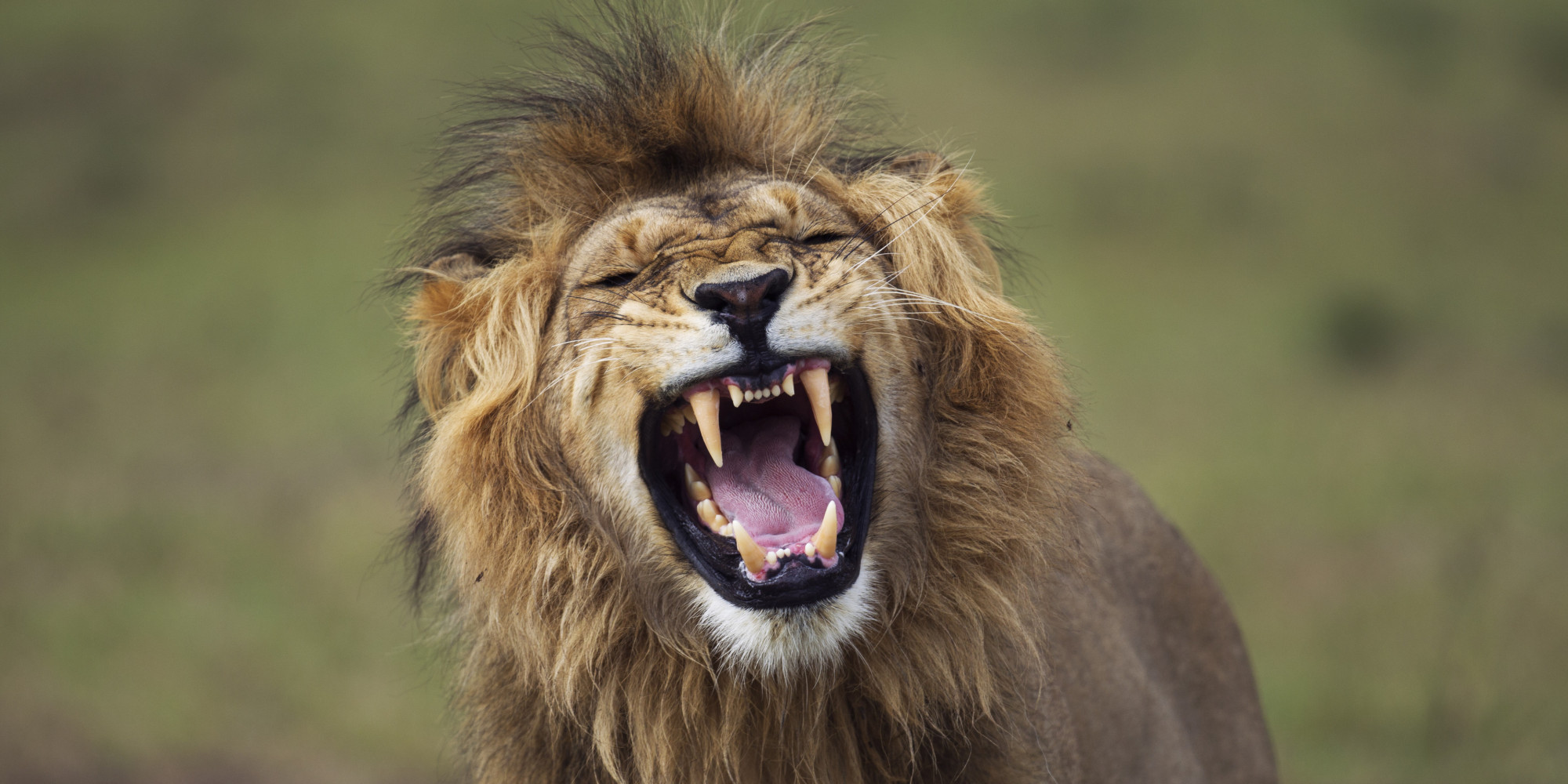 For the Supreme Court, March Comes in Like a Lion -- And Goes Out Like ...