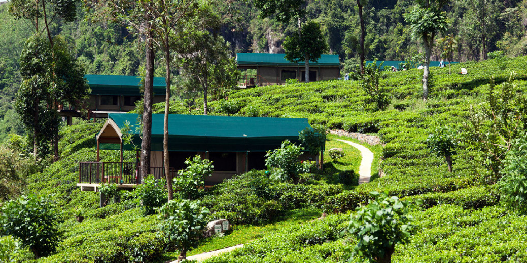 Sri Lanka's Best Kept Secret - Madulkelle Tea and Eco Lodge | HuffPost UK