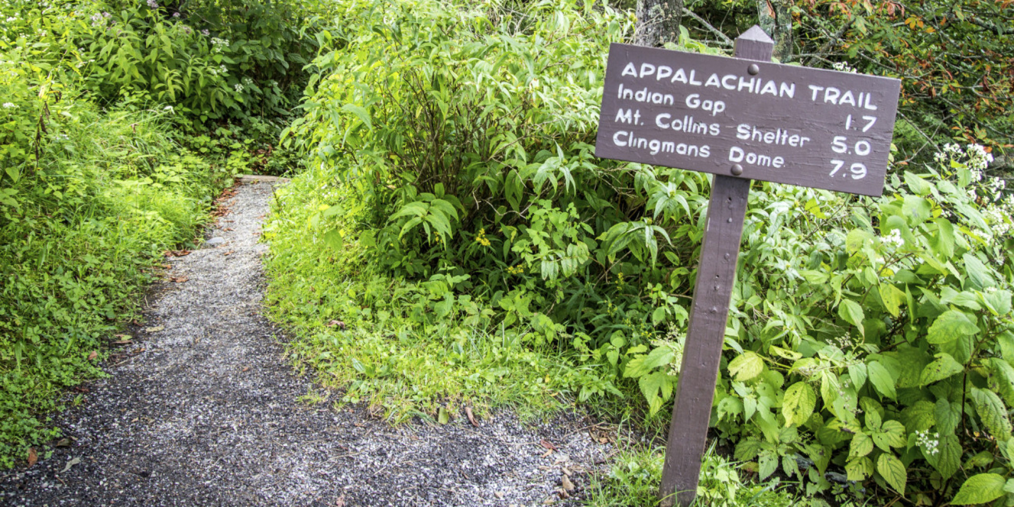 Appalachian Trail Murders Crime Scene