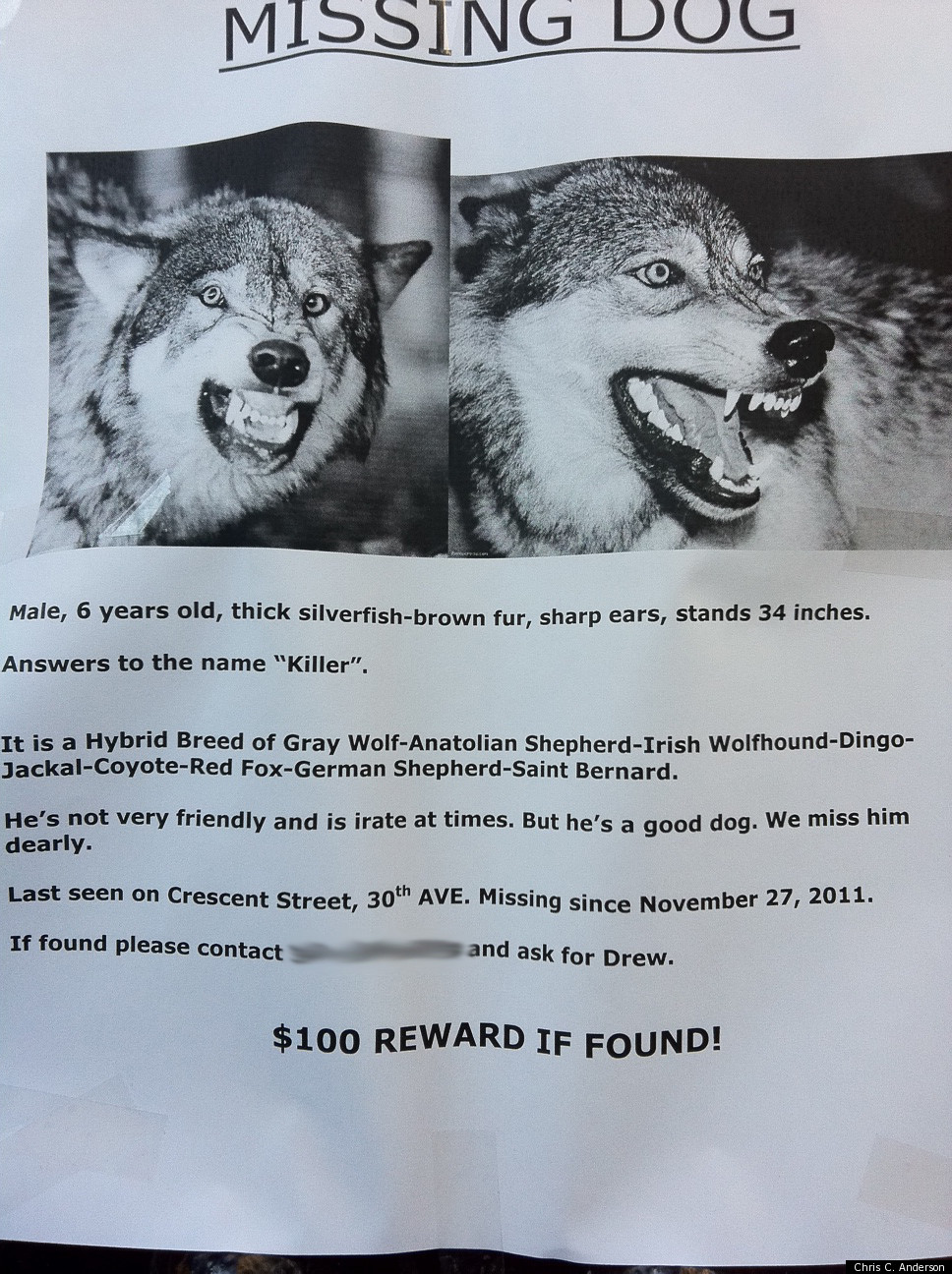 funny-missing-dog-poster-in-astoria-queens-irate-dog-named-killer