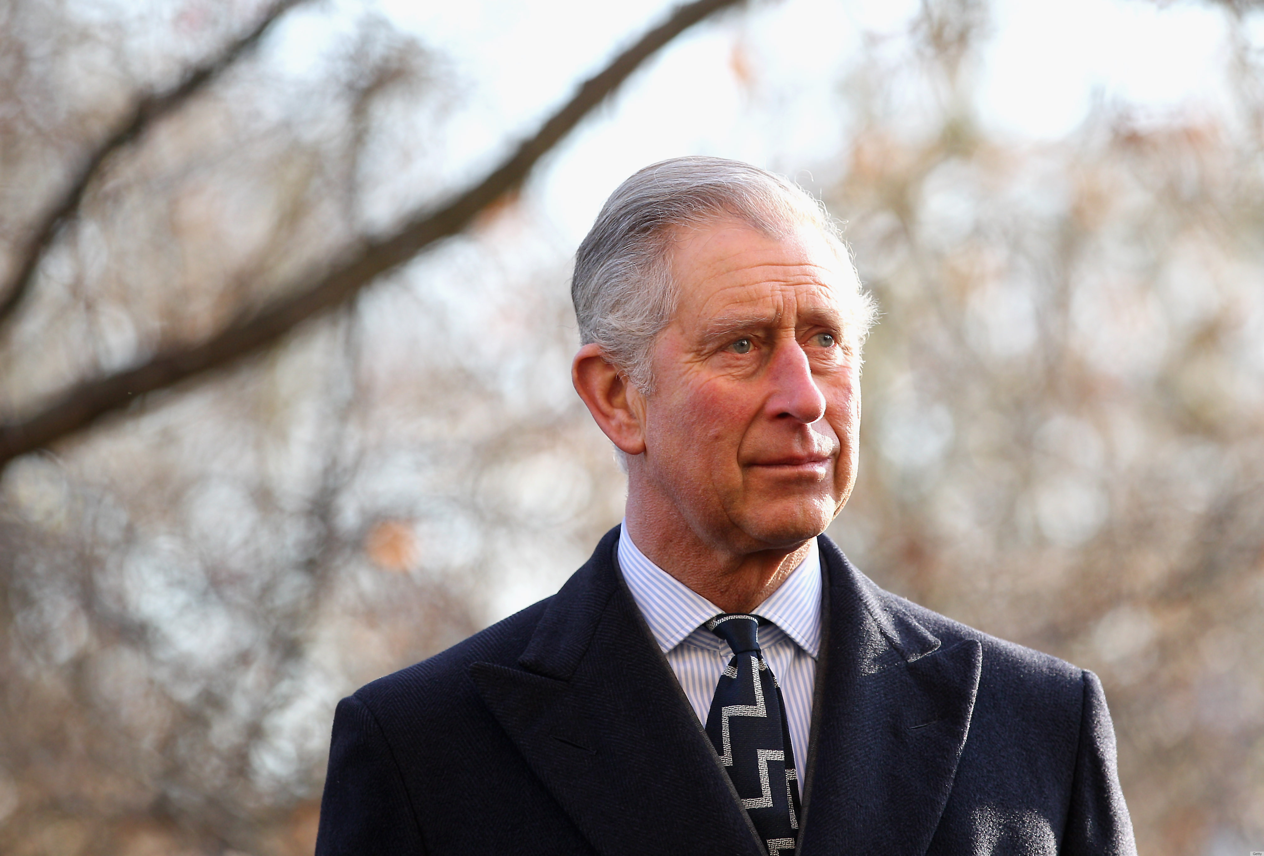 Prince Charles' Craziest Ties Of 2011 (PHOTOS) | HuffPost