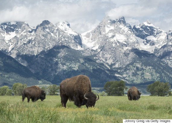 grand tetons