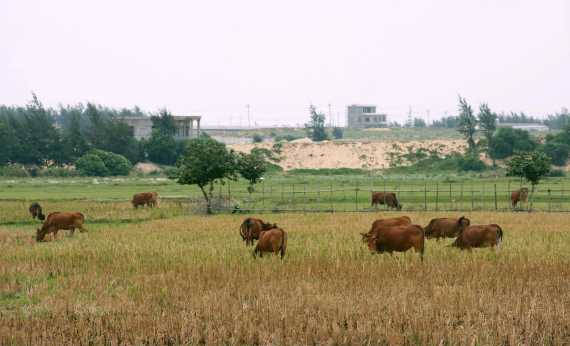nature reserve