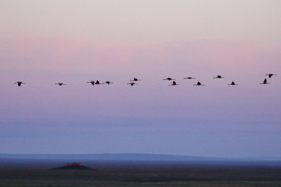 nature reserve