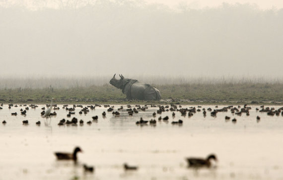 nature reserve