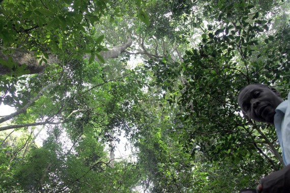 nature reserve