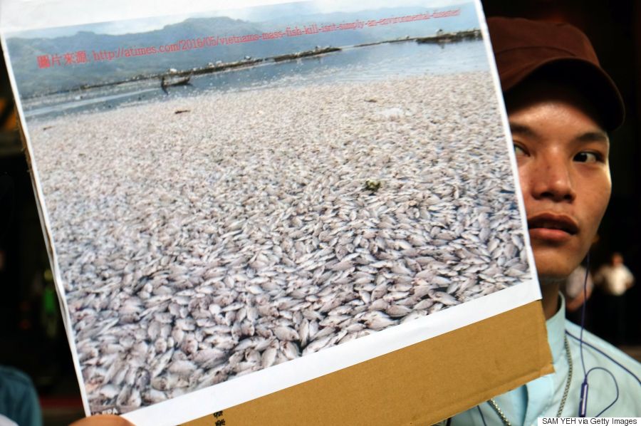 vietnam fish dead