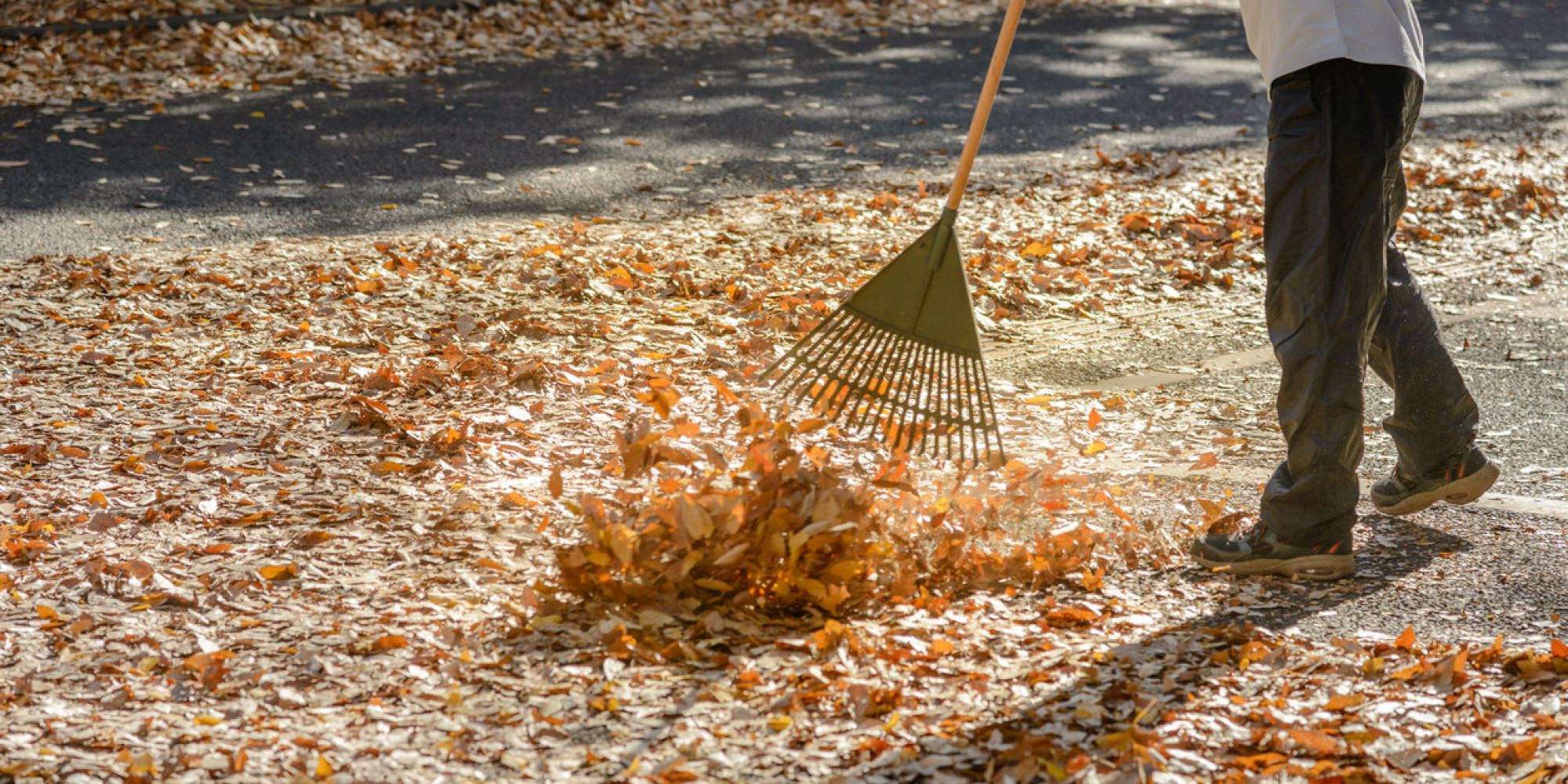 Rake leaves in the autumn. Чистить листья на улице. Rake leaves. Очищение листьев кисточкой.