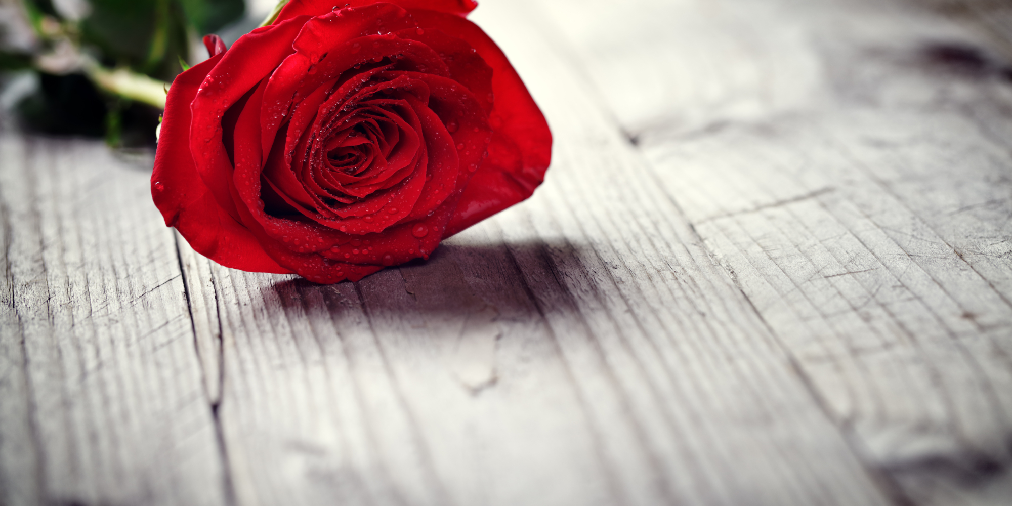 9 Ways to Take Your Valentine's Day Flowers to the Next Level | HuffPost
