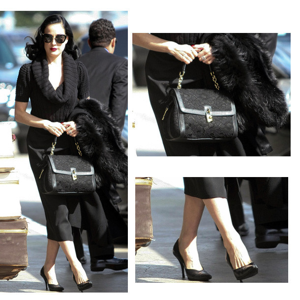 Why Dita Von Teese totes around this Delvaux bag - NOLISOLI