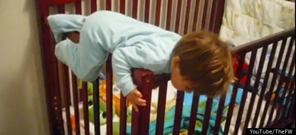 10 Daring Baby Escapes