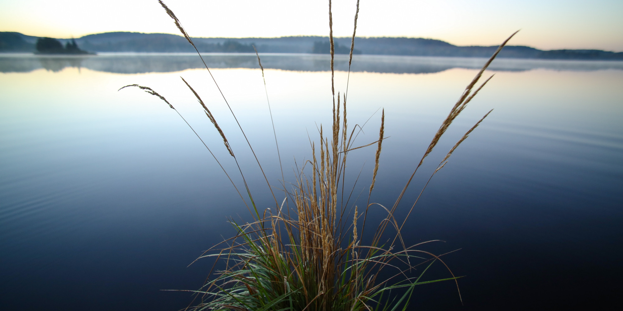 Get Out Into Nature To Understand The Urgent Need To Protect It ...