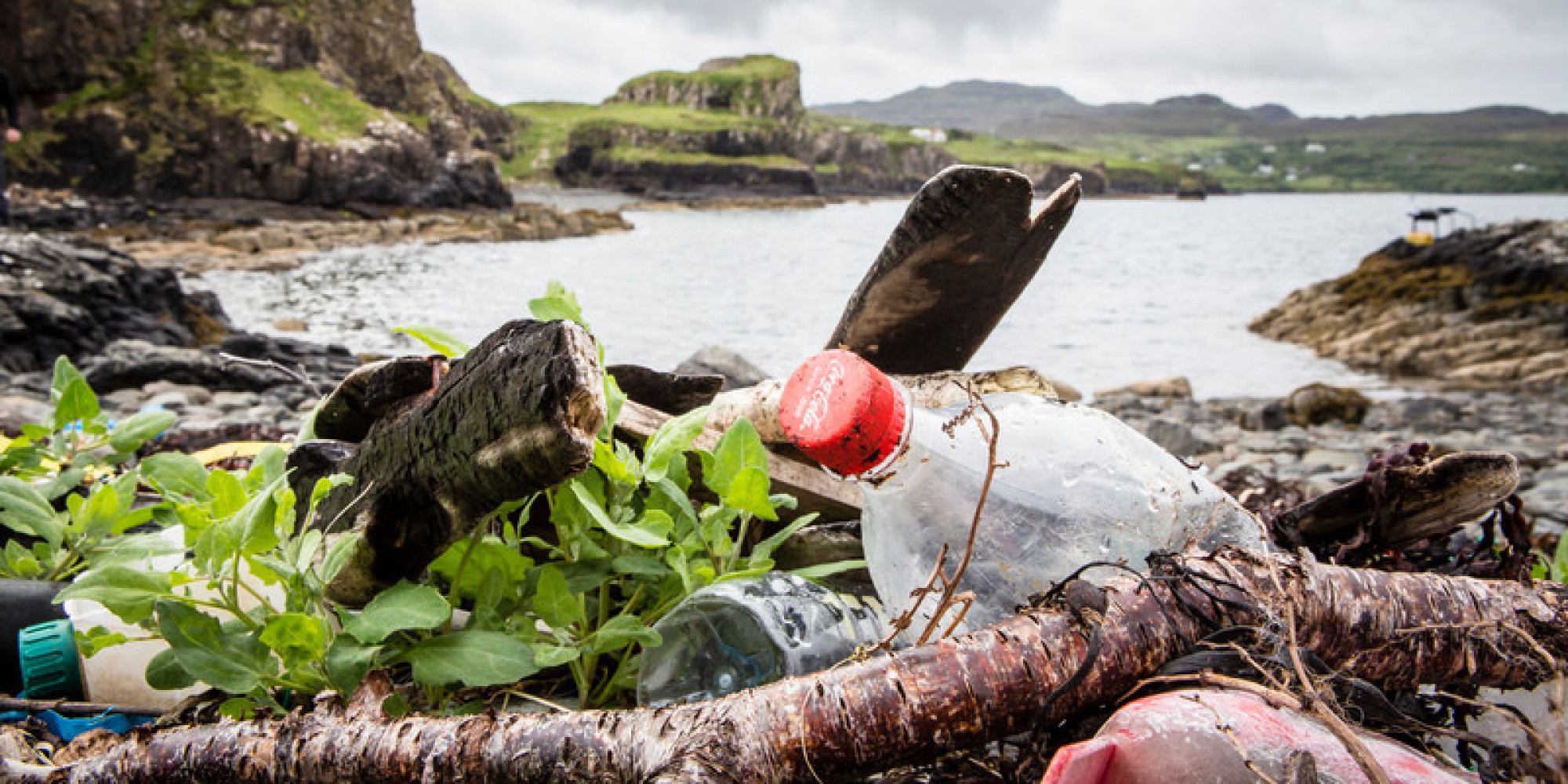 As The World Wakes Up To Ocean Plastic Pollution, Companies Like Coca ...