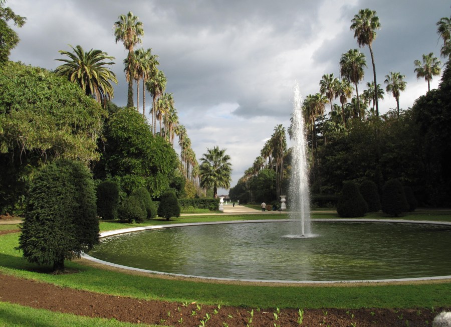algiers garden