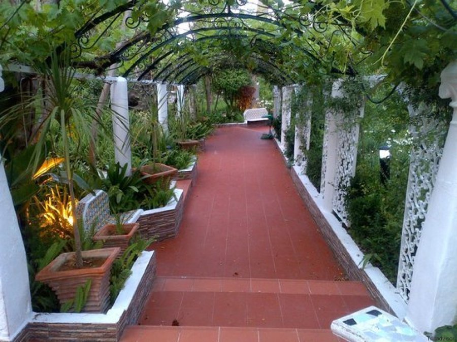 hotel saint georges algiers