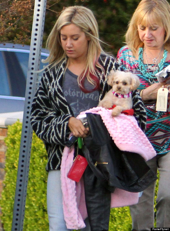 ashley tisdale without makeup ashley tisdale without makeup