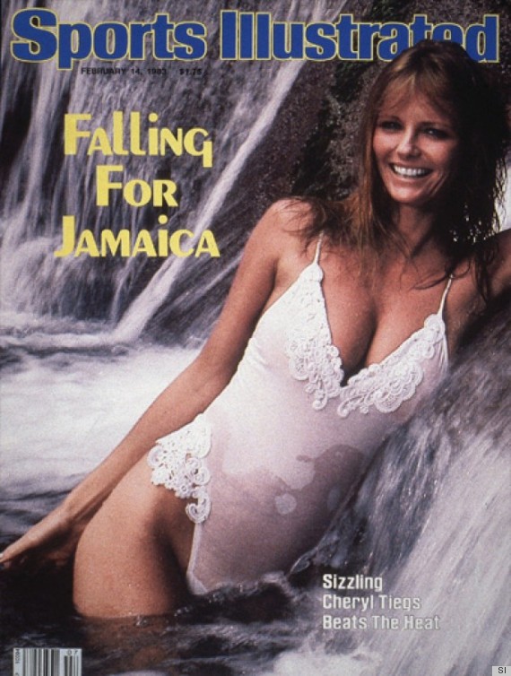 david cameron cheryl tiegs