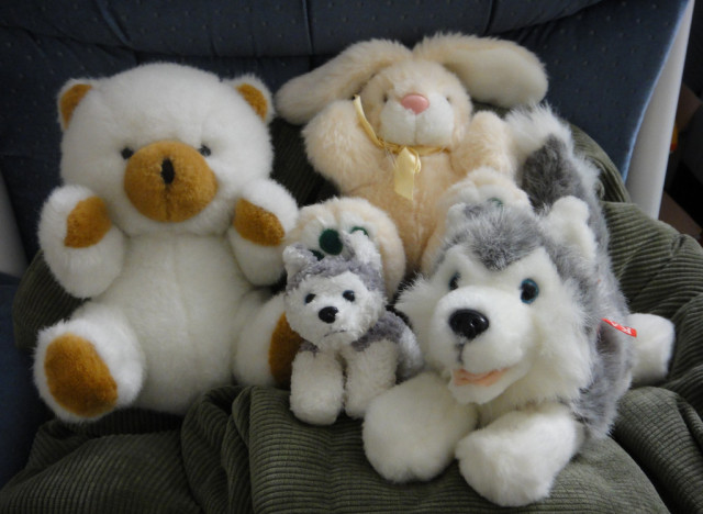 organize stuffed animals