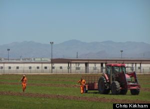 prison laborers