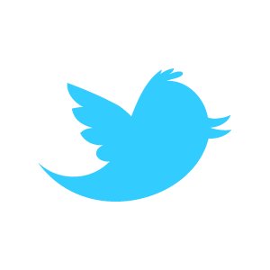 twitter new logo