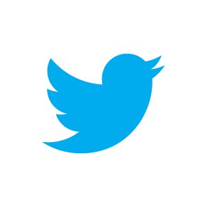 twitter new logo