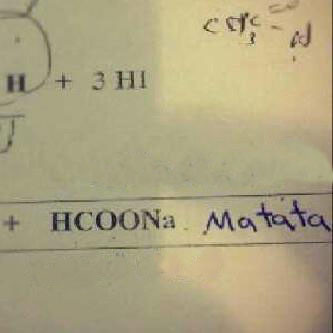 hcoona matata