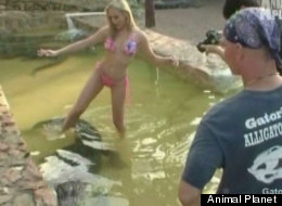 Gator Boys Ashley Lawrence Porn - Kayla from gator boys naked | Effidrip.eu