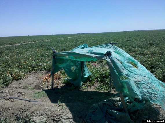 farm workers_shade