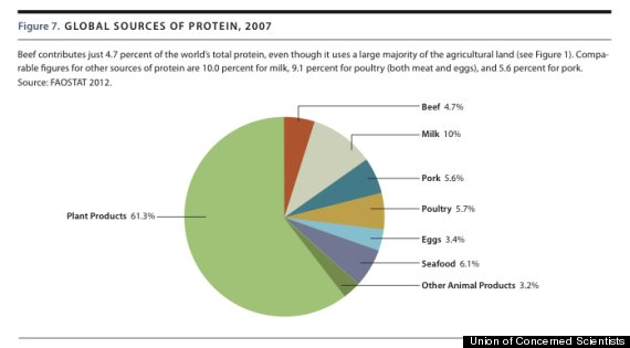 global sources of protein