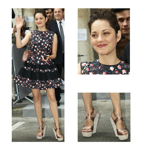 marion cotillard