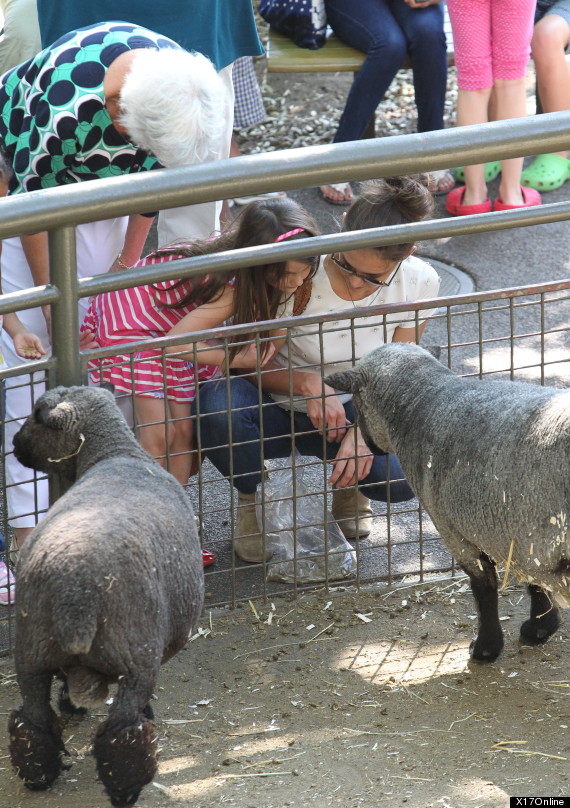 katie holmes suri cruise zoo