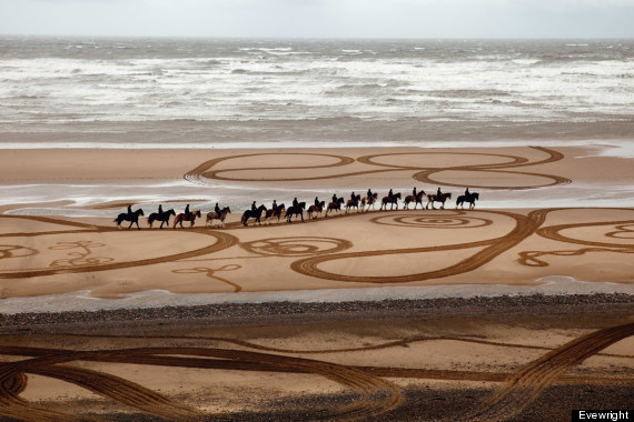 walking drawings cumbrian heavy horsesprint