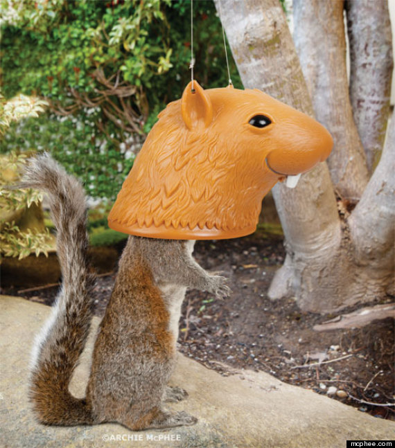 bigheadsquirrelfeeder