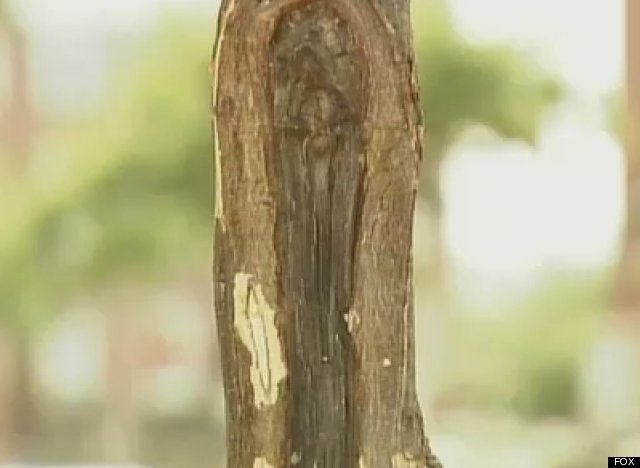 virgin mary tree trunk