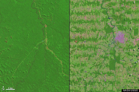 Amazon Deforestation Nasa Images Show The Great Rainforest Disappearing Huffpost
