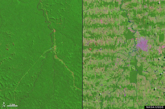 amazon deforestation 2012