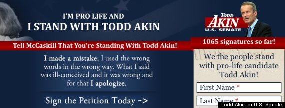 todd akin website