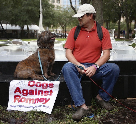 dogs against romney