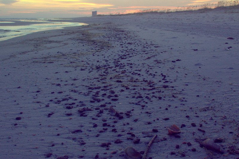 arballs on beach at bon secour national wildlife