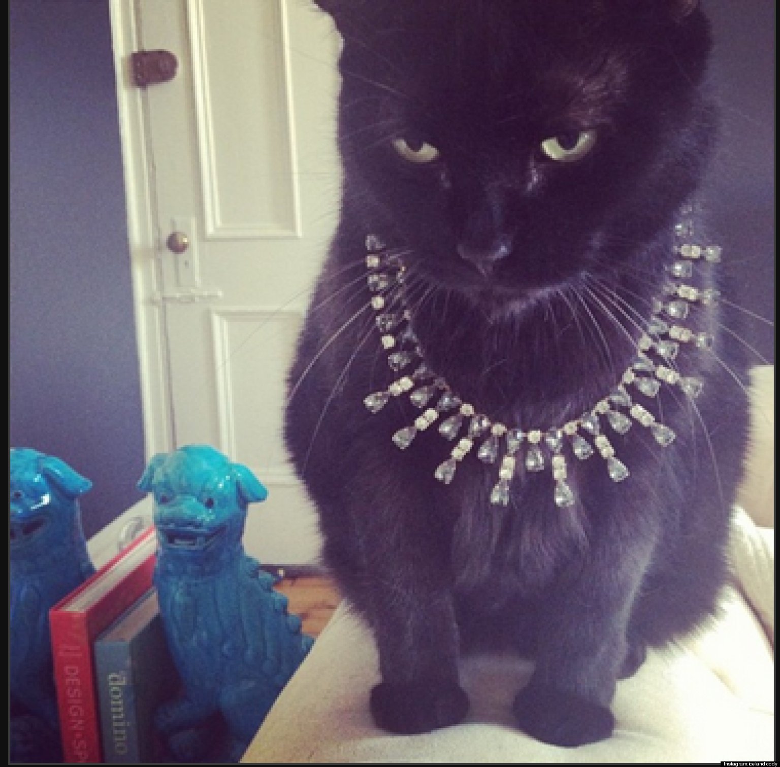 Кот в бриллиантах